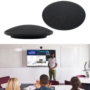 Whole-Room Microphone (RM100)